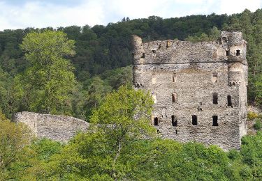 Tocht Te voet Sosberg - Traumschleife Masdascher Burgherrenweg - Photo