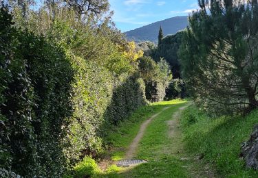 Tocht Stappen Sainte-Maxime - Sainte maxime - le couloubrier - Photo