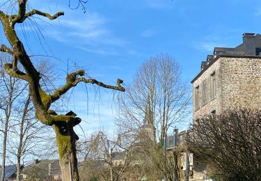 Randonnée Marche Saint-Hubert - Mirwart - Photo