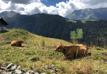 Trail Walking Beaufort - LA ROCHE PASTIRE  - Photo