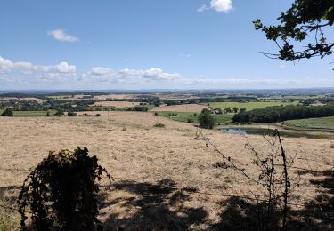 Trail Walking Cadalen - Les clochers court 1 - Photo