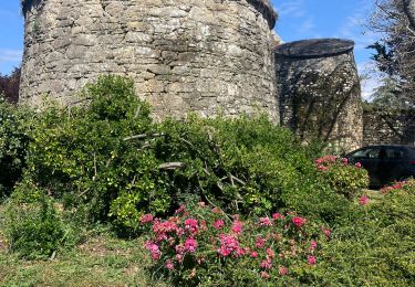 Percorso Sentiero Île-d'Arz - Bretagne île d’Arz fin rando Tamalous - Photo