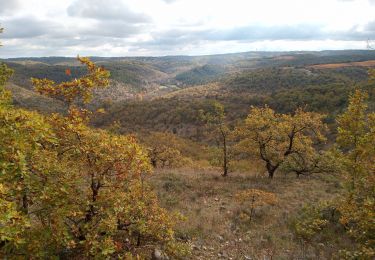 Trail Walking Douelle - Douelle_Mader/Combe de Vadaillac/les Roubines 6 - Photo