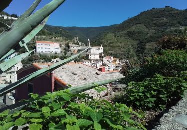 Randonnée Marche Vernazza - Corniglia gare Veratta - Photo