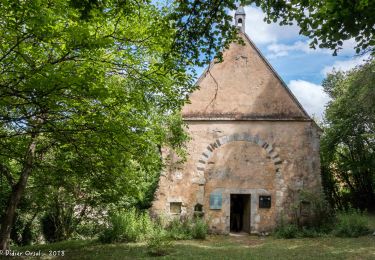Trail Walking Arcisses - Coudreceau - Thiron-Gardais 9,2 km - Photo