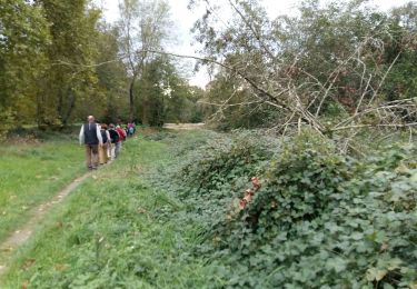 Tour Nordic Walking Sauveterre-de-Béarn - BELLOCQ / SAUVETERRE DE BEARN RS - Photo