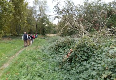 Excursión Marcha nórdica Sauveterre-de-Béarn - BELLOCQ / SAUVETERRE DE BEARN RS - Photo