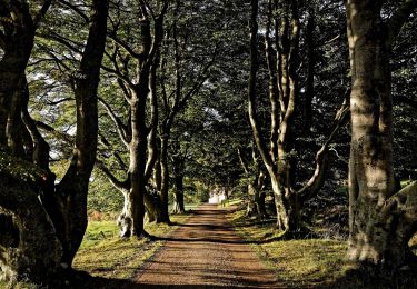 Percorso A piedi  - Craigivar Red Trail - Photo