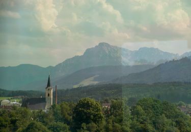 Randonnée A pied Teisendorf - Mehringer Schleife Nr. 11 - Photo