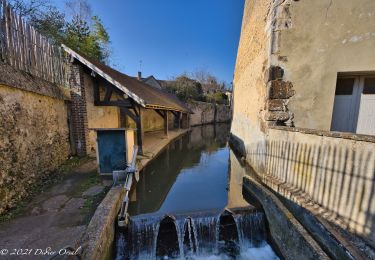 Excursión Senderismo Longny les Villages - [Itinéraire] La Brisardière - Photo