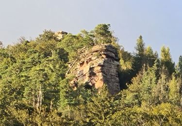 Excursión Senderismo Lembach - Les 3 châteaux - Photo