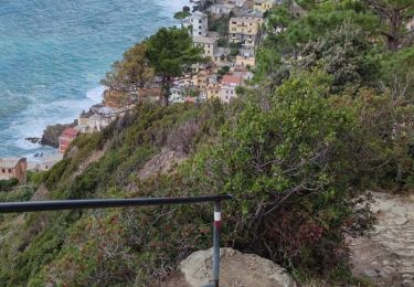 Trail Walking Riomaggiore - Sanctuaire de Riomaggere - Photo