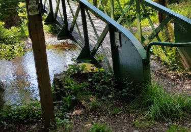 Tour Pfad Malmedy - Tihoux-Stavelot-Bellevaux - Photo