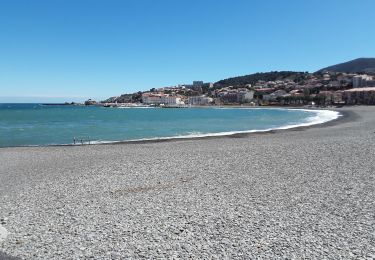 Tour Wandern Banyuls-sur-Mer - Découverte de Banyuls  - Photo