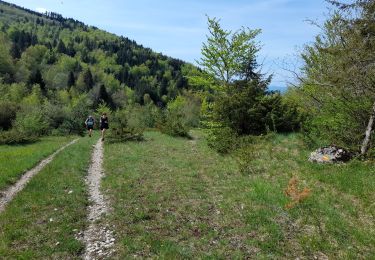 Trail Walking Arvière-en-Valromey - SUR LYAND NORD via corniche & balcon Valromey et GR9 - Photo