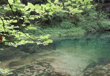 Tocht Stappen Conte - Source de l'Ain - Photo