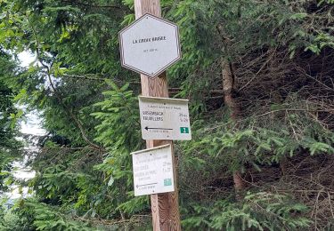 Tour Wandern Martelingen - Vlessart boucle de 17.4 km - Photo