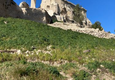 Trail Walking Boulbon - Boulbon moulin Bonnet 20.02.2023 - Photo