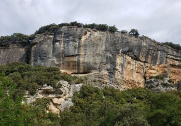 Tour Wandern Buoux - Sivergues. Parking moulin clos - Photo