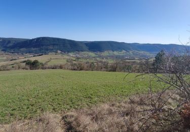 Trail Walking Esclanèdes - Rocherousse Marijoulet - Photo