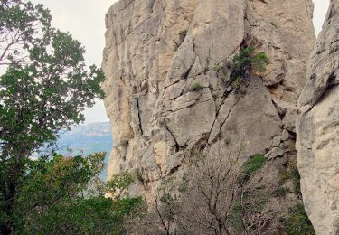 Trail Walking Toulon - Le capucin (spécial confinement - Dans le périmètre < 1km et 1h00 ) - Photo