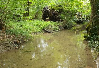 Randonnée Marche Charnay-lès-Mâcon - Loché - Photo