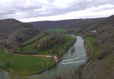Trail Walking Busy - 