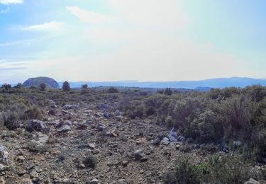 Randonnée Marche Aubagne - Garlaban et Taoumé - Photo