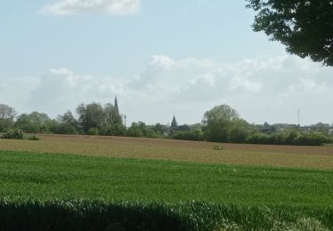 Trail Walking Jodoigne - Gobiery - Brocui - Photo