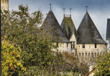 Tocht Stappen Nogent-le-Rotrou - Nogent-le -Rotrou, une ville à la campagne 8,6km - Photo