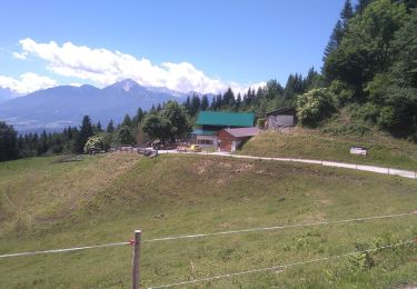 Tour Zu Fuß Unbekannt - Wolfele-Wilde-Weg - Photo