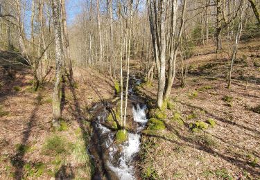 Tour Wandern Wellin - rando fays famenne 17/03/2020 - Photo