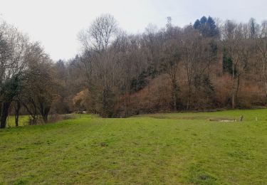 Randonnée Marche Durbuy - trek GR57 étape 5 : Bomal-sur-Ourthe - Weris - Photo