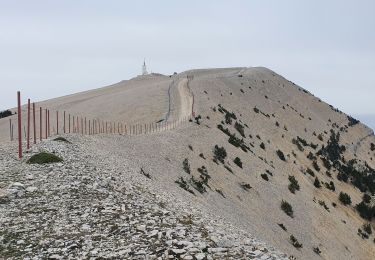 Trail Walking Beaumont-du-Ventoux - Mts Serein, Ventoux, tête de la Grave - Photo