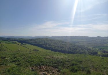 Excursión Senderismo Donzy-le-Pertuis - autour de Donzy - Photo