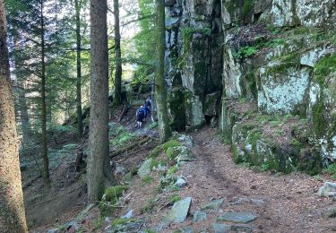 Tour Wandern Metzeral - Lac du Schiessrothried - Marcairie du Frankenthal- Retour - Photo