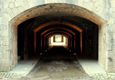 Tour Zu Fuß Feyzin - Sentier des Alouettes - Photo