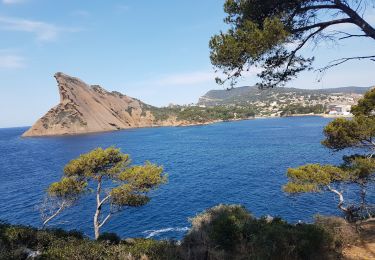 Excursión Senderismo La Ciotat - ile verte la ciotat - Photo