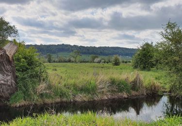 Tour Wandern Marais-Vernier - Circuit pédestre du Marais Vernier - Photo