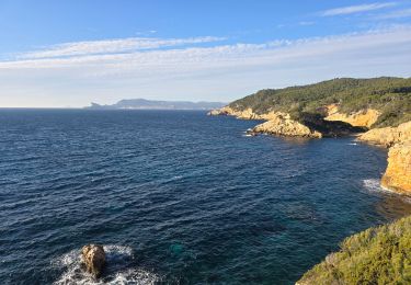 Tour Wandern Saint-Cyr-sur-Mer - Madrague port dhalon  - Photo