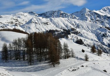 Excursión Raquetas de nieve Orcières - Orcières - Forest les Marches - Photo