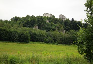 Tocht Te voet  - Zielony szlak pieszy - Photo