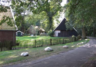 Tour Zu Fuß Enscheid - Wandelnetwerk Twente - paarse route - Photo