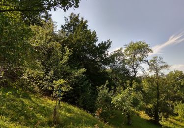 Trail On foot Štramberk - Za pohledy z Rybí - Photo