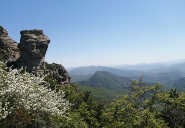 Tour Wandern Valouse - mielandre - Photo