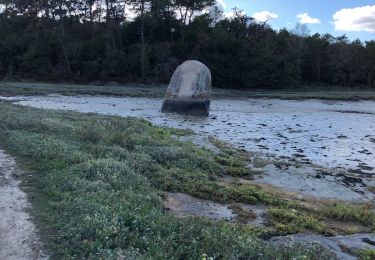 Excursión Senderismo Loctudy - Pont l’abbé menhir mouillé  - Photo