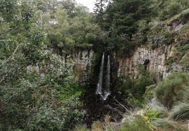 Excursión Senderismo Orcival - Circuit bleu et tour du lac de Guèry avec passage à la cascade.  - Photo