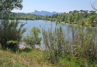 Tocht Mountainbike Le Muy - chateau du rouet palayson lac les doiseiies - Photo