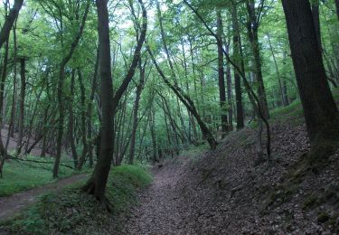 Trail On foot Schönburg - Kötschbachtalweg - Photo