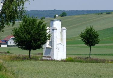 Excursión A pie Gemeinde Großmugl - Ottendorfer Weidenwiesenweg - Photo